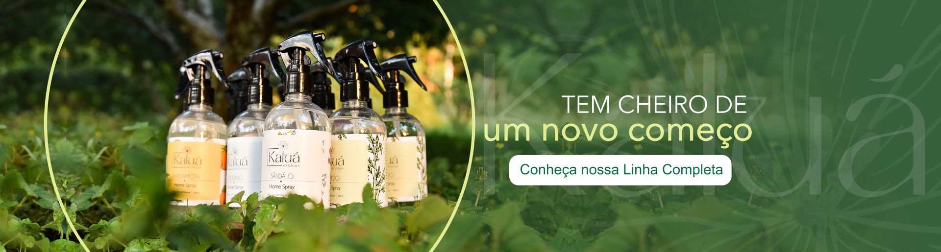 Kalua-Capa-Desktop-Site1.2-1